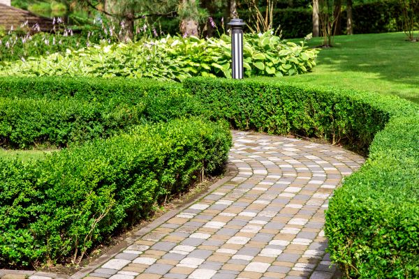 Cost of Paved Landscaping in Middleburg