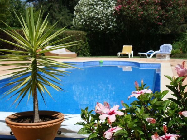 Cost of Pool Terrace Renovation in Middleburg